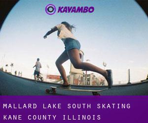 Mallard Lake South skating (Kane County, Illinois)