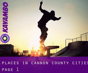 places in Cannon County (Cities) - page 1