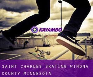 Saint Charles skating (Winona County, Minnesota)