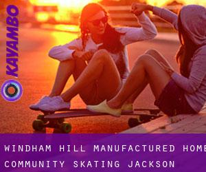 Windham Hill Manufactured Home Community skating (Jackson County, Michigan)