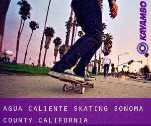 Agua Caliente skating (Sonoma County, California)
