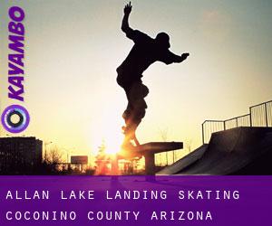 Allan Lake Landing skating (Coconino County, Arizona)