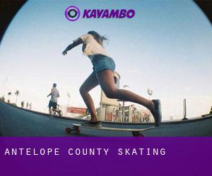 Antelope County skating