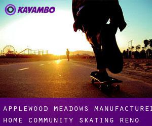 Applewood Meadows Manufactured Home Community skating (Reno County, Kansas)