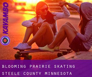Blooming Prairie skating (Steele County, Minnesota)