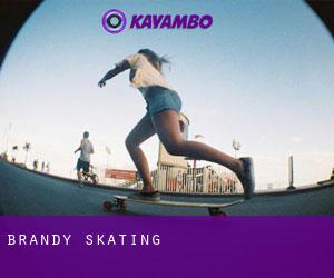 Brandy skating