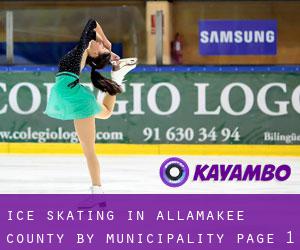 Ice Skating in Allamakee County by municipality - page 1