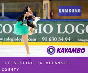 Ice Skating in Allamakee County