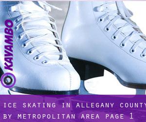 Ice Skating in Allegany County by metropolitan area - page 1