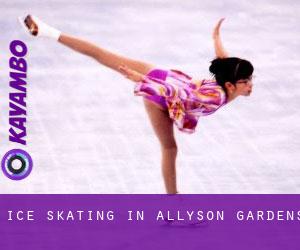 Ice Skating in Allyson Gardens