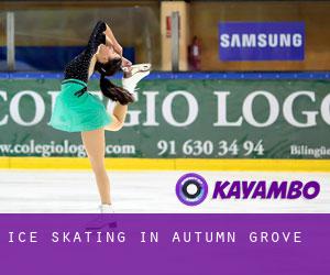 Ice Skating in Autumn Grove