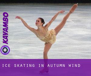 Ice Skating in Autumn Wind