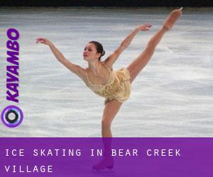 Ice Skating in Bear Creek Village