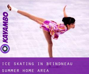 Ice Skating in Beindneau Summer Home Area