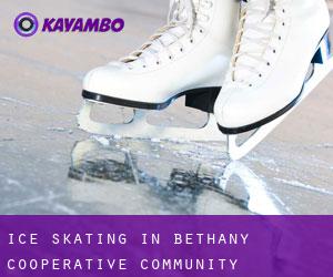 Ice Skating in Bethany Cooperative Community