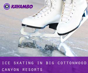 Ice Skating in Big Cottonwood Canyon Resorts