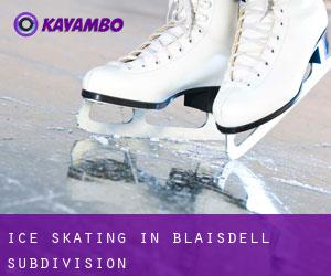 Ice Skating in Blaisdell Subdivision