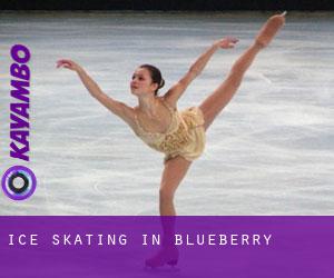 Ice Skating in Blueberry
