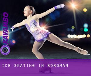 Ice Skating in Borgman