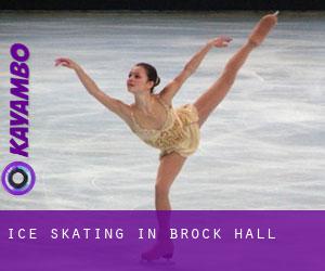 Ice Skating in Brock Hall
