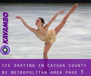 Ice Skating in Cayuga County by metropolitan area - page 3