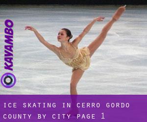 Ice Skating in Cerro Gordo County by city - page 1