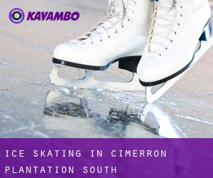 Ice Skating in Cimerron Plantation South