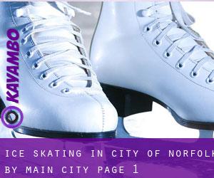 Ice Skating in City of Norfolk by main city - page 1