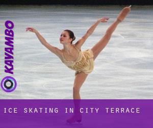 Ice Skating in City Terrace