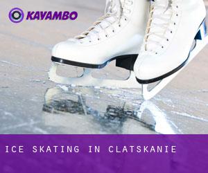 Ice Skating in Clatskanie