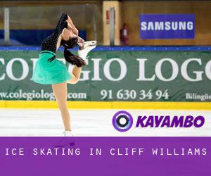 Ice Skating in Cliff Williams