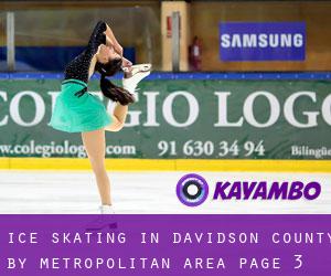 Ice Skating in Davidson County by metropolitan area - page 3