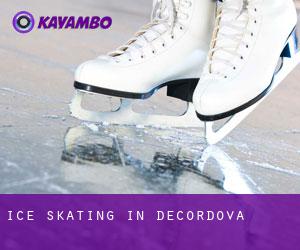 Ice Skating in DeCordova