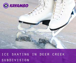Ice Skating in Deer Creek Subdivision