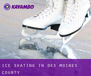 Ice Skating in Des Moines County