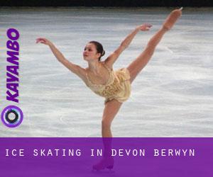Ice Skating in Devon-Berwyn