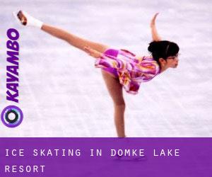 Ice Skating in Domke Lake Resort