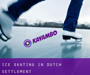 Ice Skating in Dutch Settlement