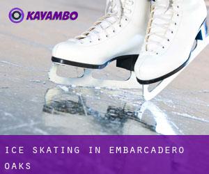 Ice Skating in Embarcadero Oaks