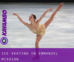 Ice Skating in Emmanuel Mission