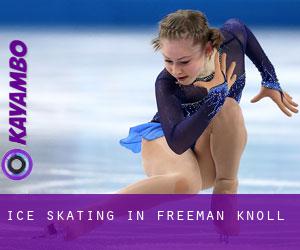 Ice Skating in Freeman Knoll