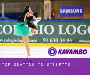 Ice Skating in Gilletts