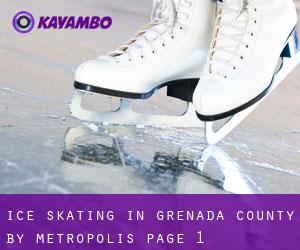 Ice Skating in Grenada County by metropolis - page 1