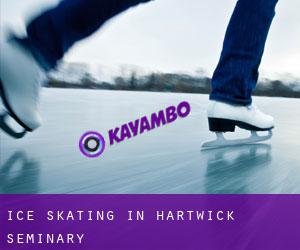 Ice Skating in Hartwick Seminary