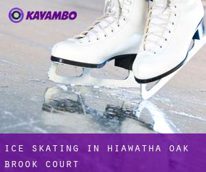 Ice Skating in Hiawatha Oak Brook Court