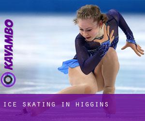 Ice Skating in Higgins