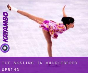 Ice Skating in Huckleberry Spring