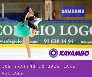 Ice Skating in Jade Lake Village