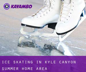 Ice Skating in Kyle Canyon Summer Home Area