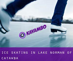 Ice Skating in Lake Norman of Catawba
